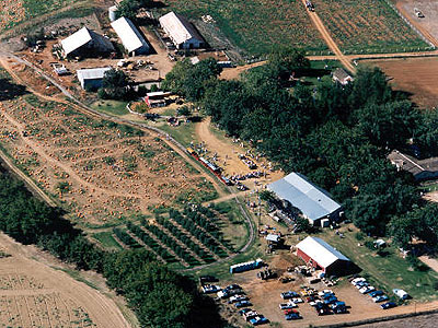 pumpkin farm